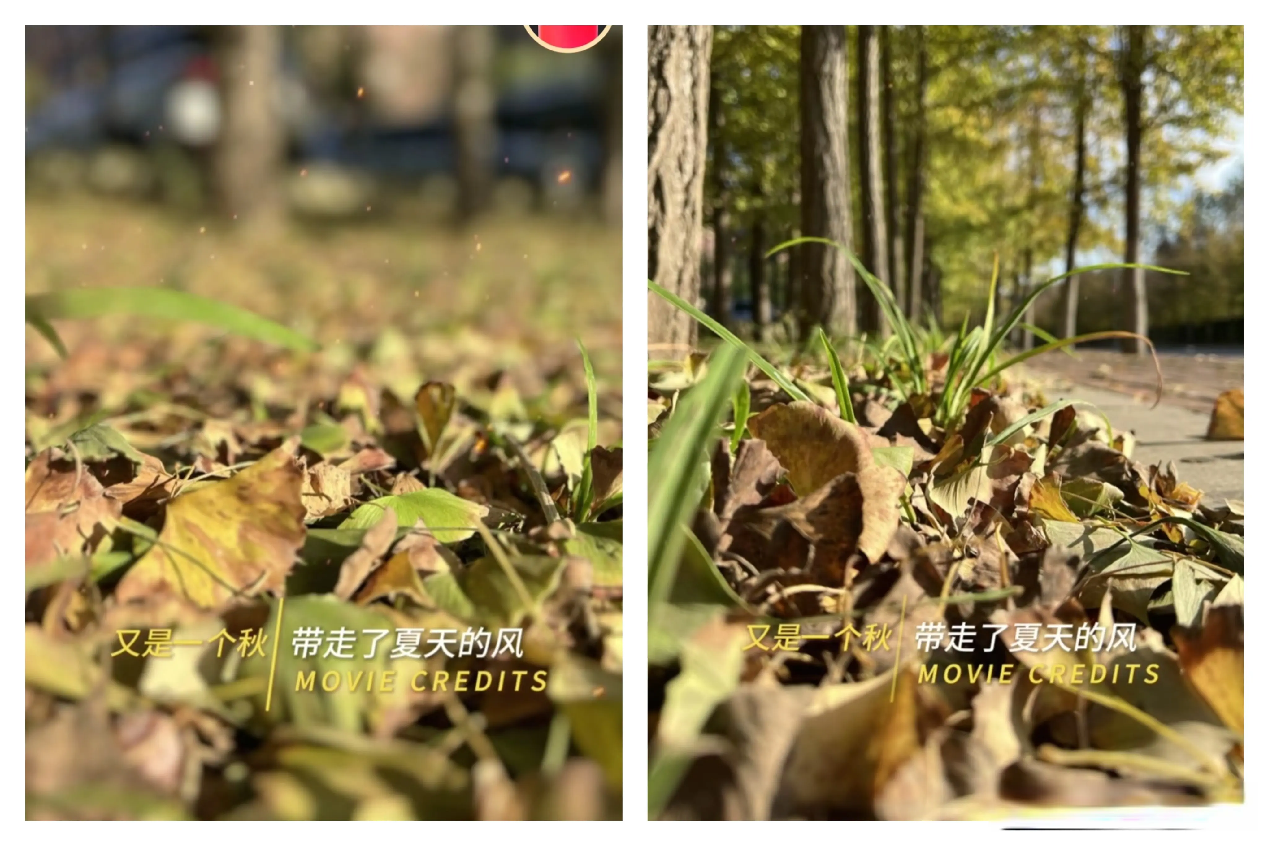 msn, https msn, https